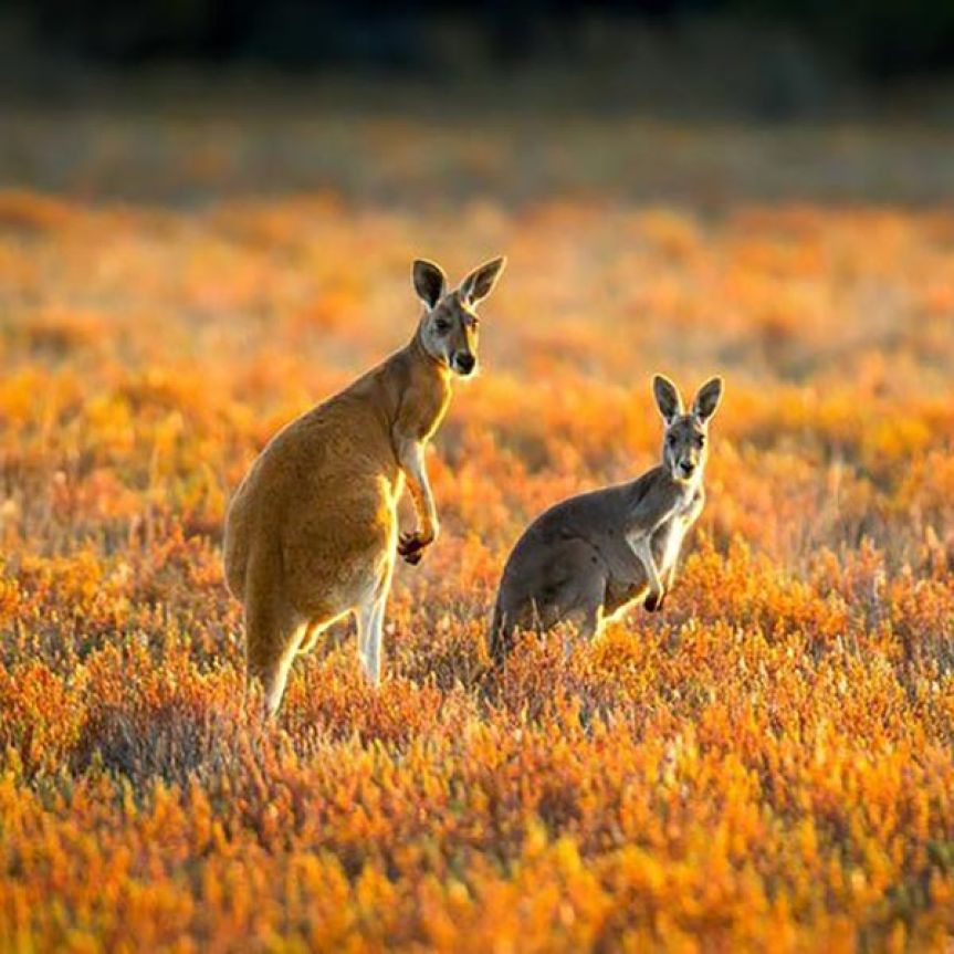 Young woman sitting on a wooden bench in front of a large mural painted on a brick wall